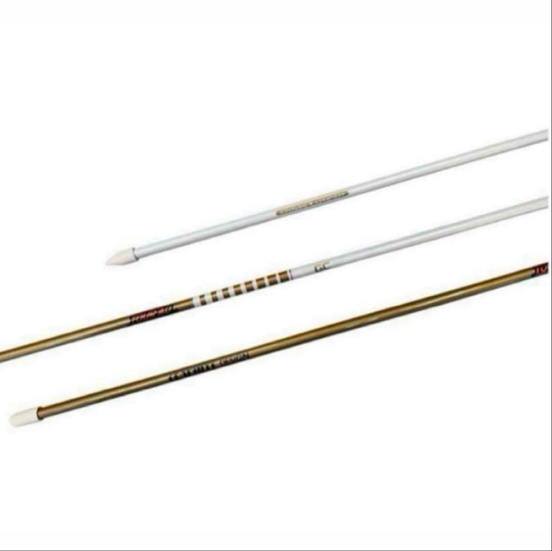 希少品 TourAD アライメントスティックGCモデル(２本)＆カバーセット