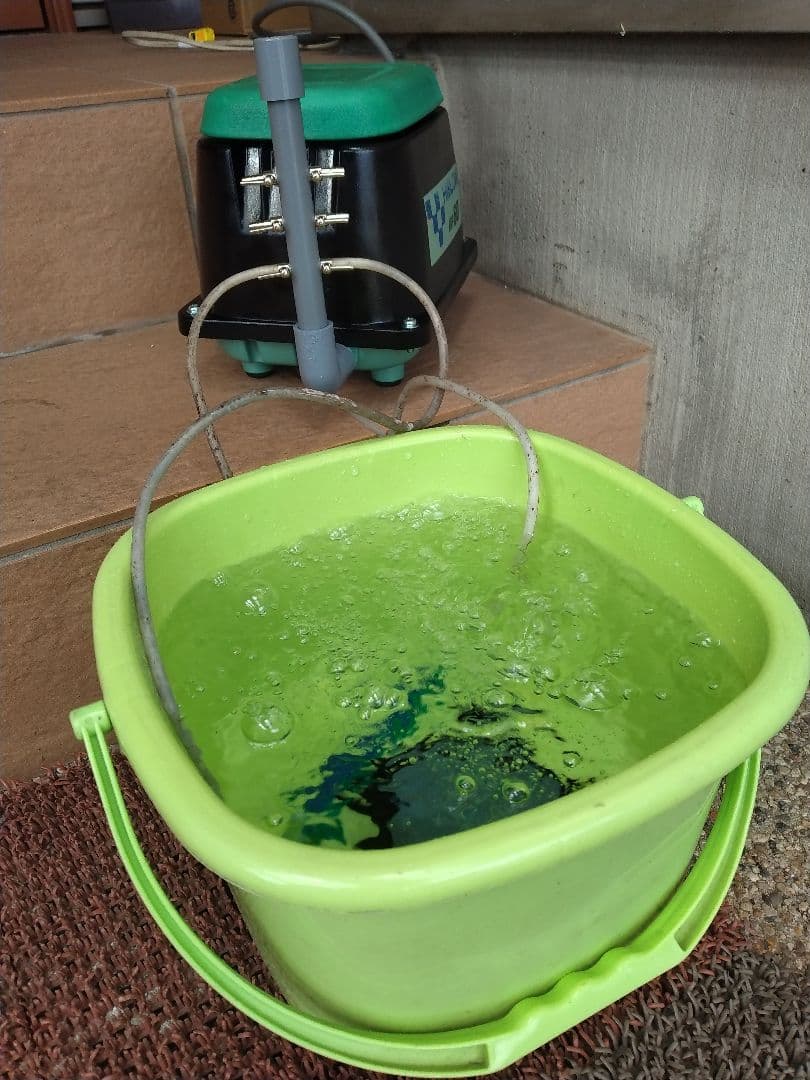 【テクノ高槻（HP-60HT）60L】387　エアポンプ　ブロワー　浄化槽