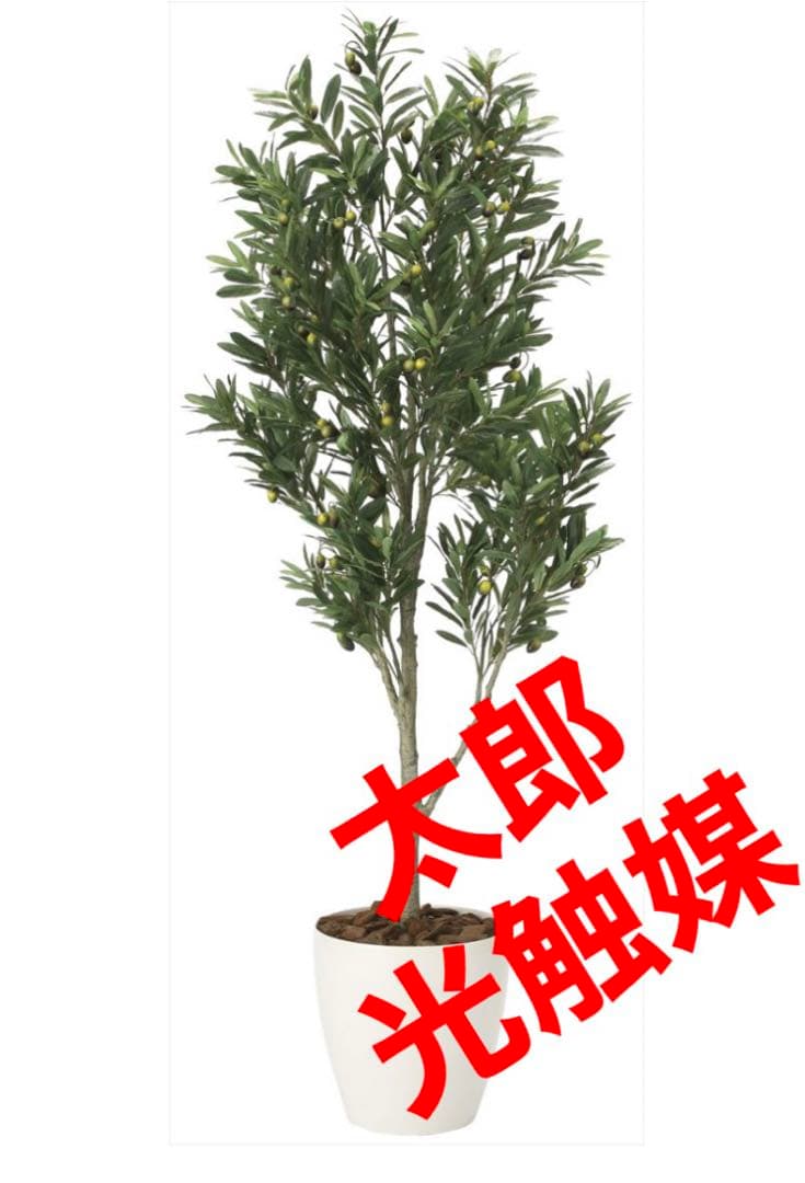 光触媒　人工観葉植物　ウォールグリーン　フェイクグリーン　オリーブツリー1.65