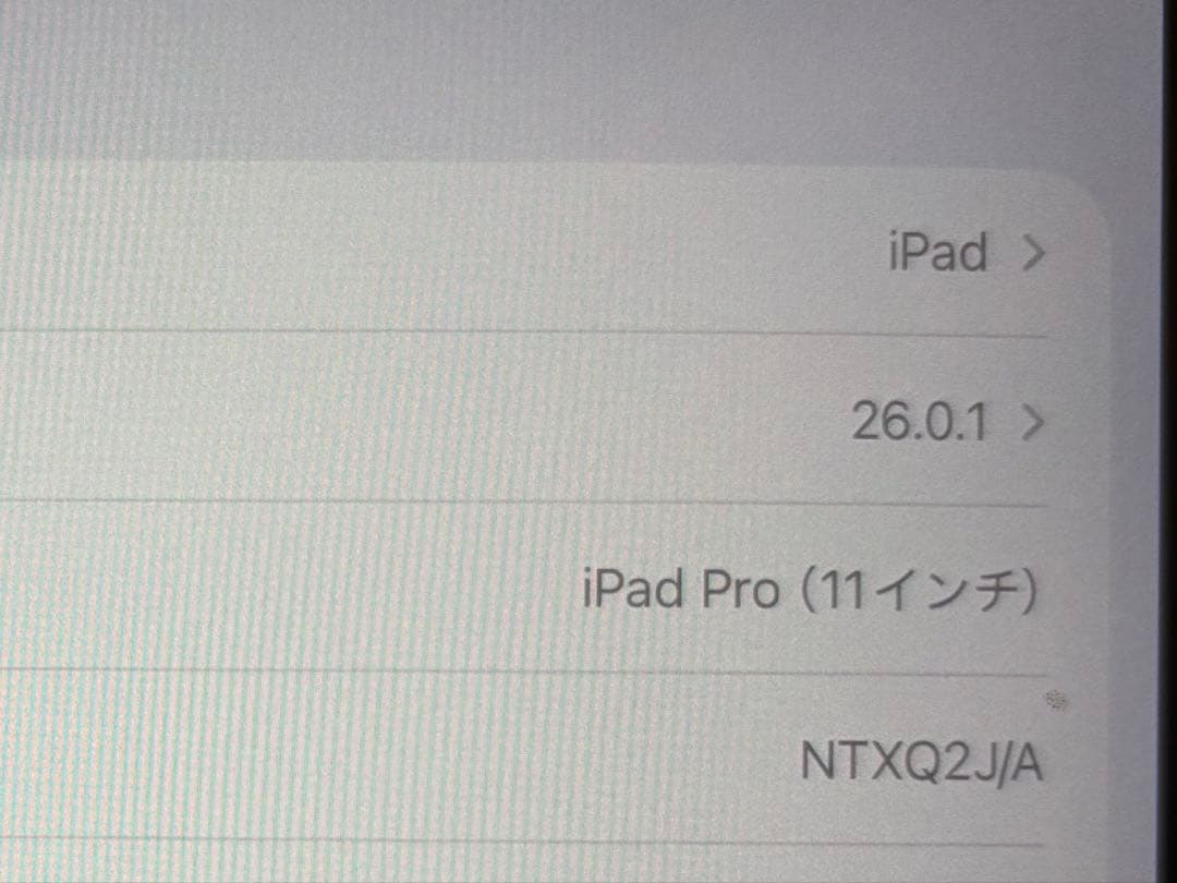 iPad Pro 256GB 11インチ/Apple Pencil(第2世代)