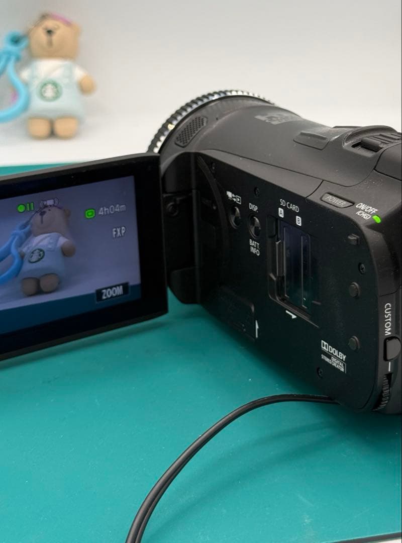 Canon iVIS HFG20 光学10倍ズーム 内蔵32GB ビデオカメラ