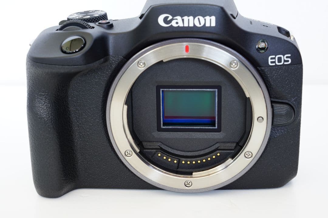 EOS R100 RF-S18-45 IS STMレンズキット