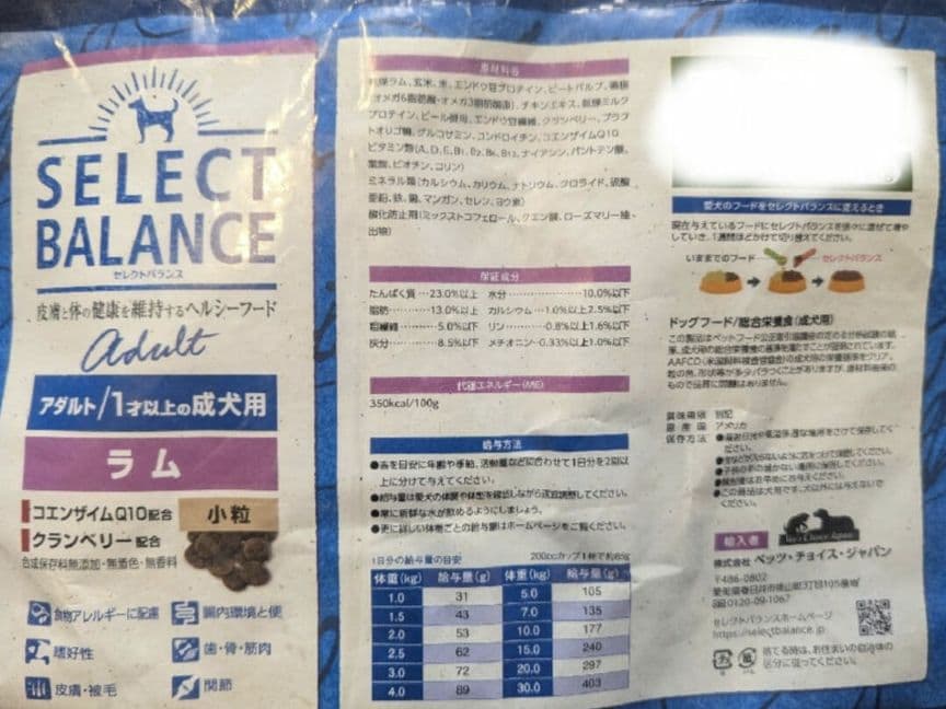 8匹わんこの大家族