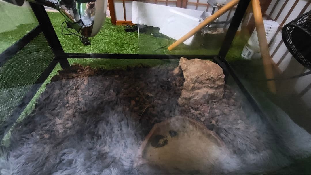 爬虫類飼育設備3点セット(飼育箱+LEDライト+保温球)