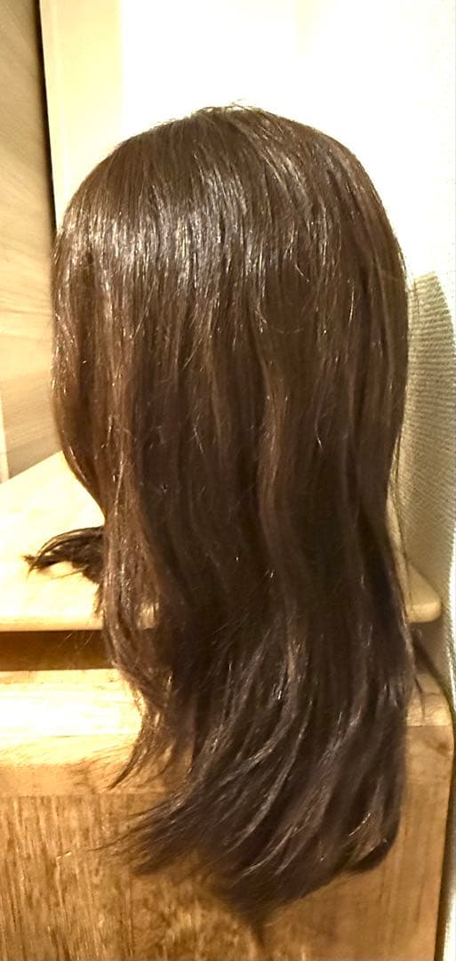 写真追加しました⭐︎N.B.A.A アップウィッグ ブラウン