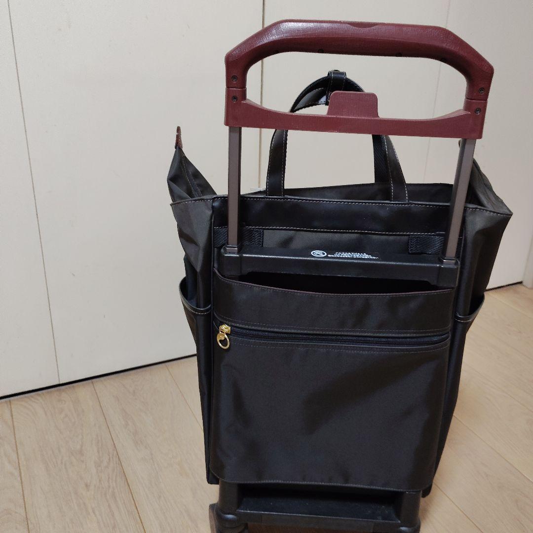 キャリーバッグ　ace soelte 20L