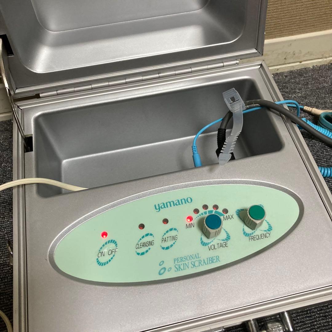 ボディ・フェイスケア PERSONAL SKIN SCRAIBER KK-202SK