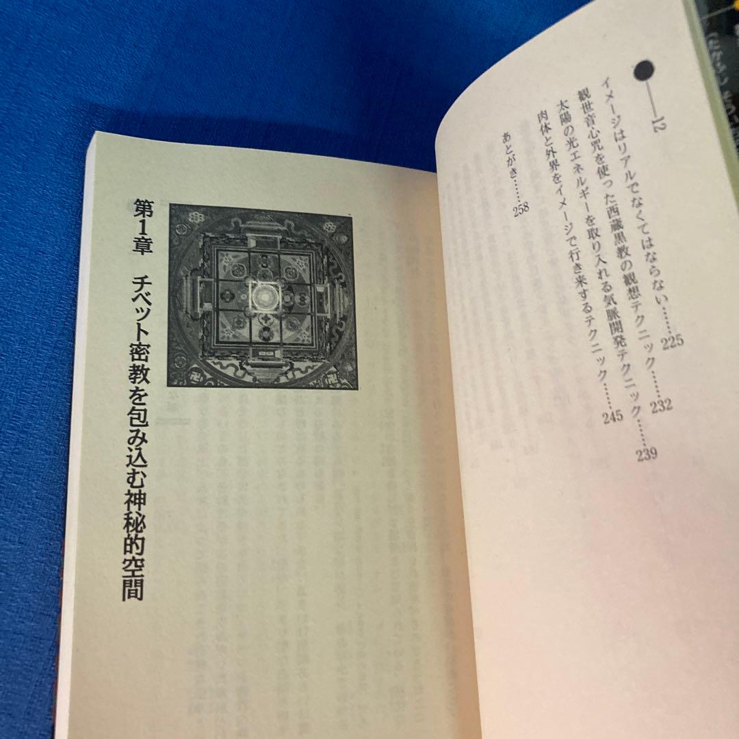 【レア本セット！】神秘！チベット密教入門　秘伝チベット密教奥義　高藤聡一郎