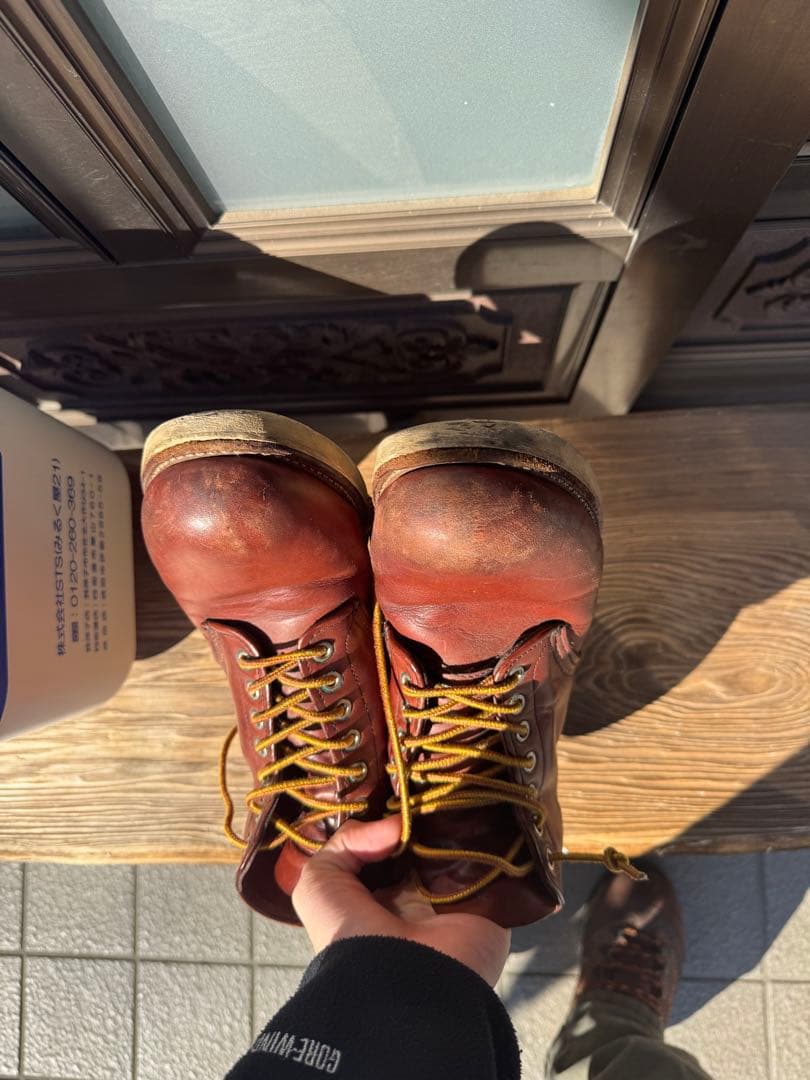 レッドウィング　こんにちは