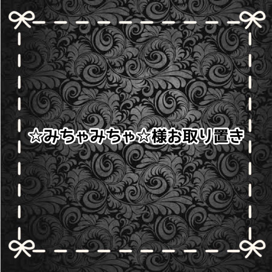 【Ｄ】☆みちゃみちゃ☆様お取り置き