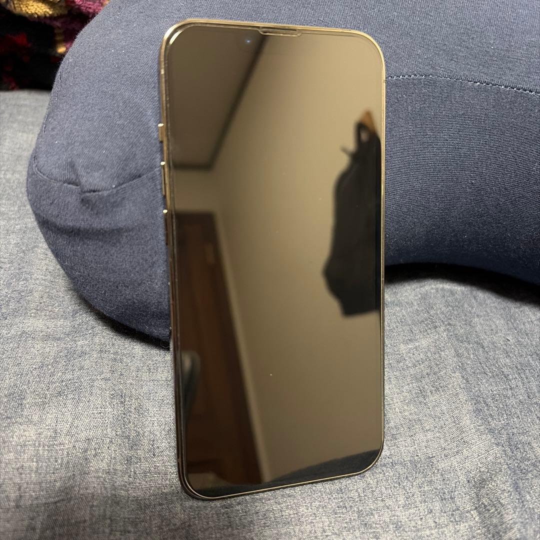 Apple iPhone 13 Pro グラファイト256GB本体