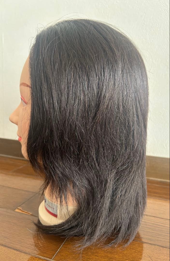 レジーナ 805P オールウェーブ用ウィッグ 未使用品