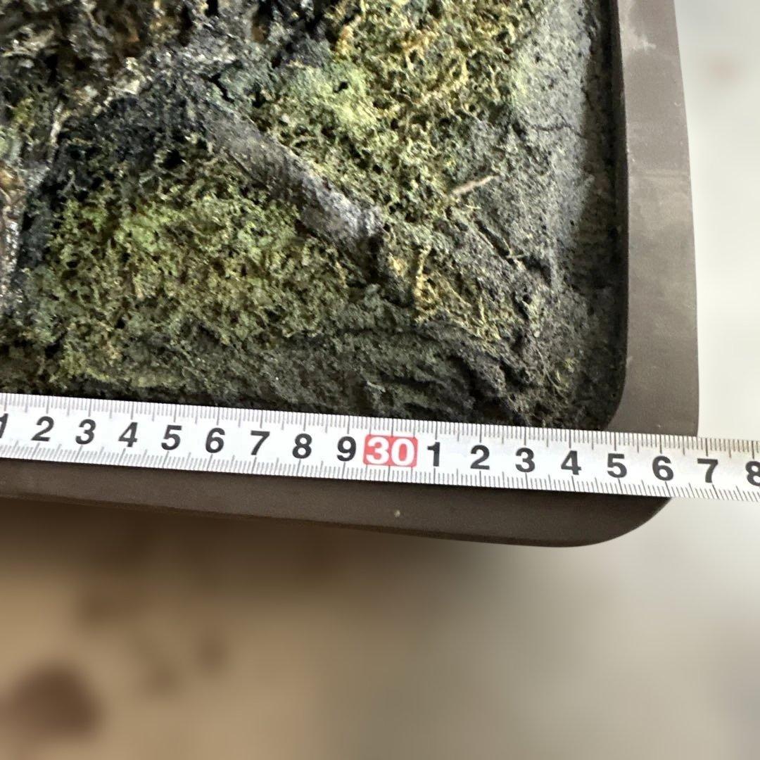 瞬間的お値下げ‼️素敵すぎるフェイク盆栽‼️自然形状の盆栽 四角形鉢