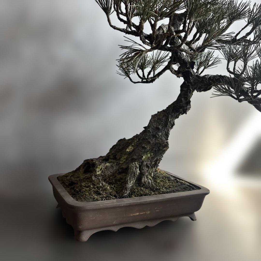 瞬間的お値下げ‼️素敵すぎるフェイク盆栽‼️自然形状の盆栽 四角形鉢