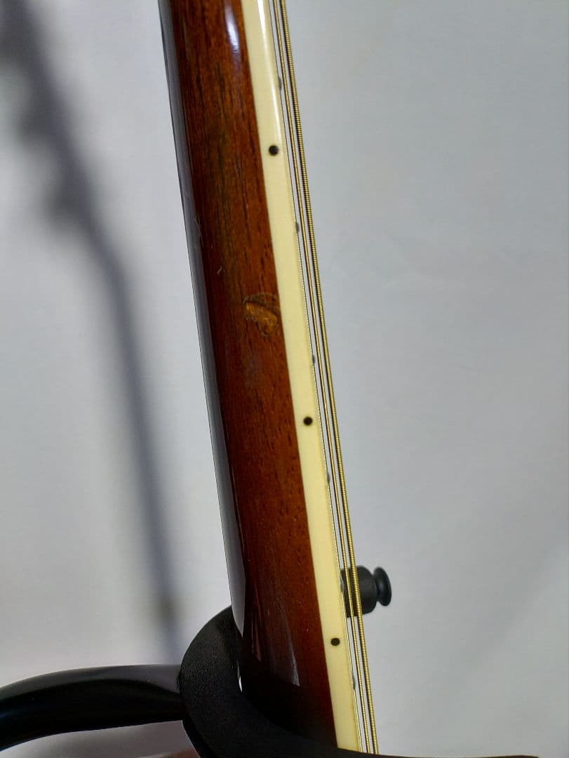 Humming　 Bird 　CUSTOM W-300 　　東海楽器