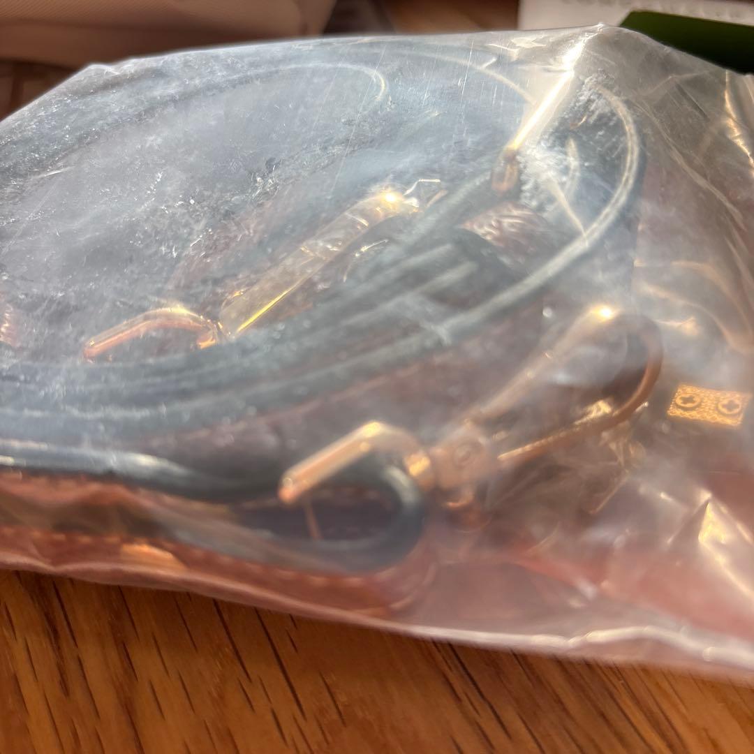 LONGCHAMP ロンシャン　ショルダーポーチバック　ペーパー