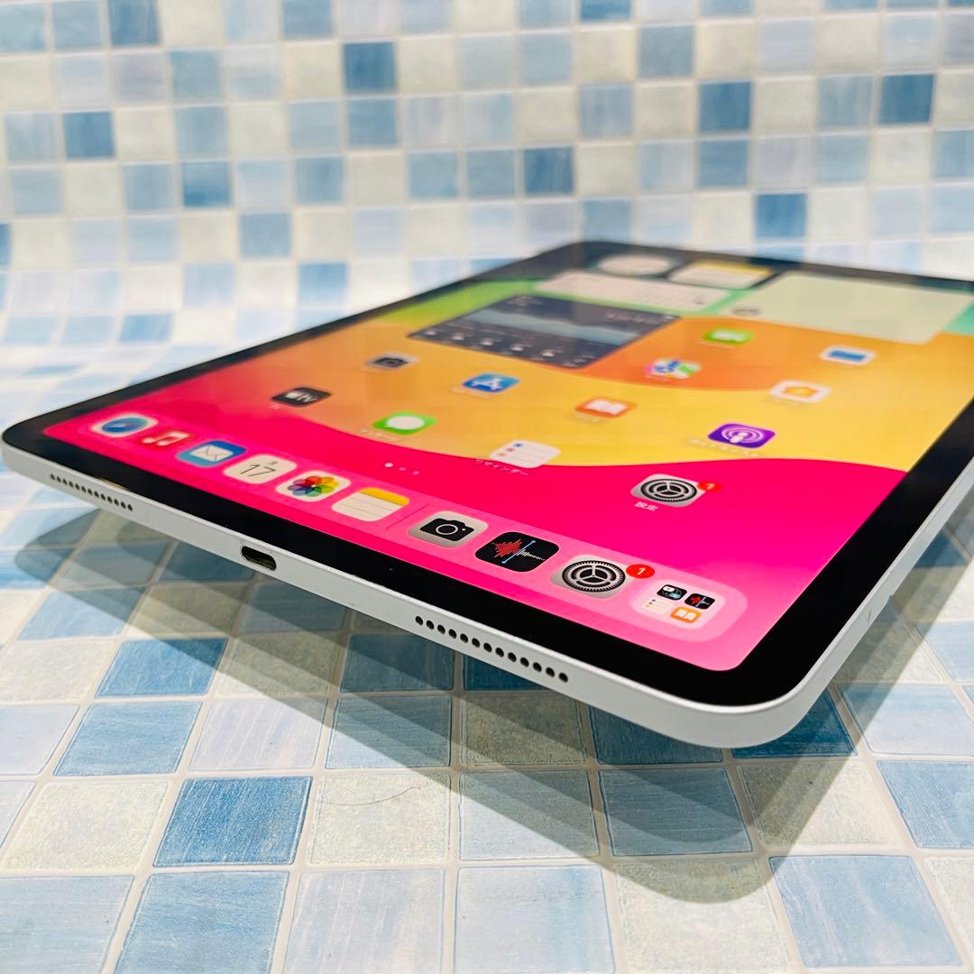 Wi-Fi iPad Pro 11インチ 第1世代 本体 256GB シルバー