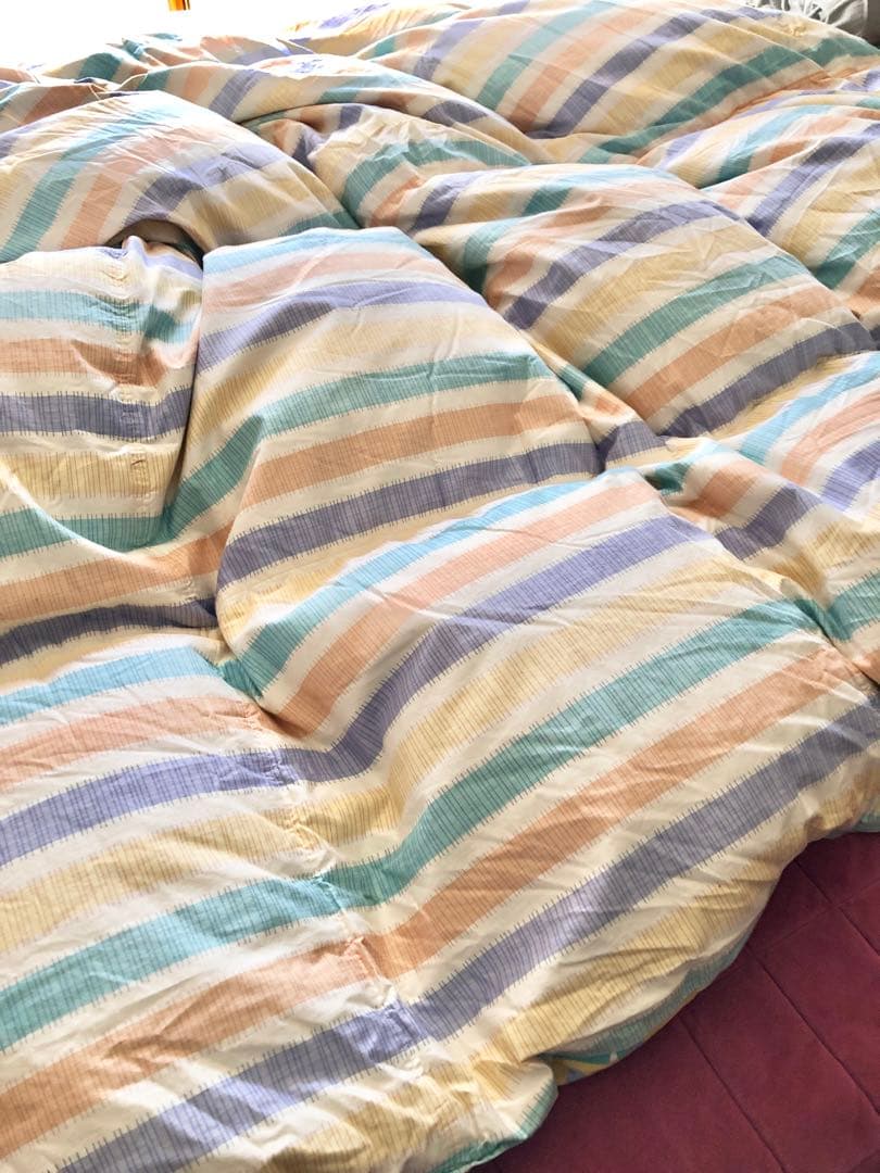 掛け布団　東洋羽毛　ダブル　カバー付き