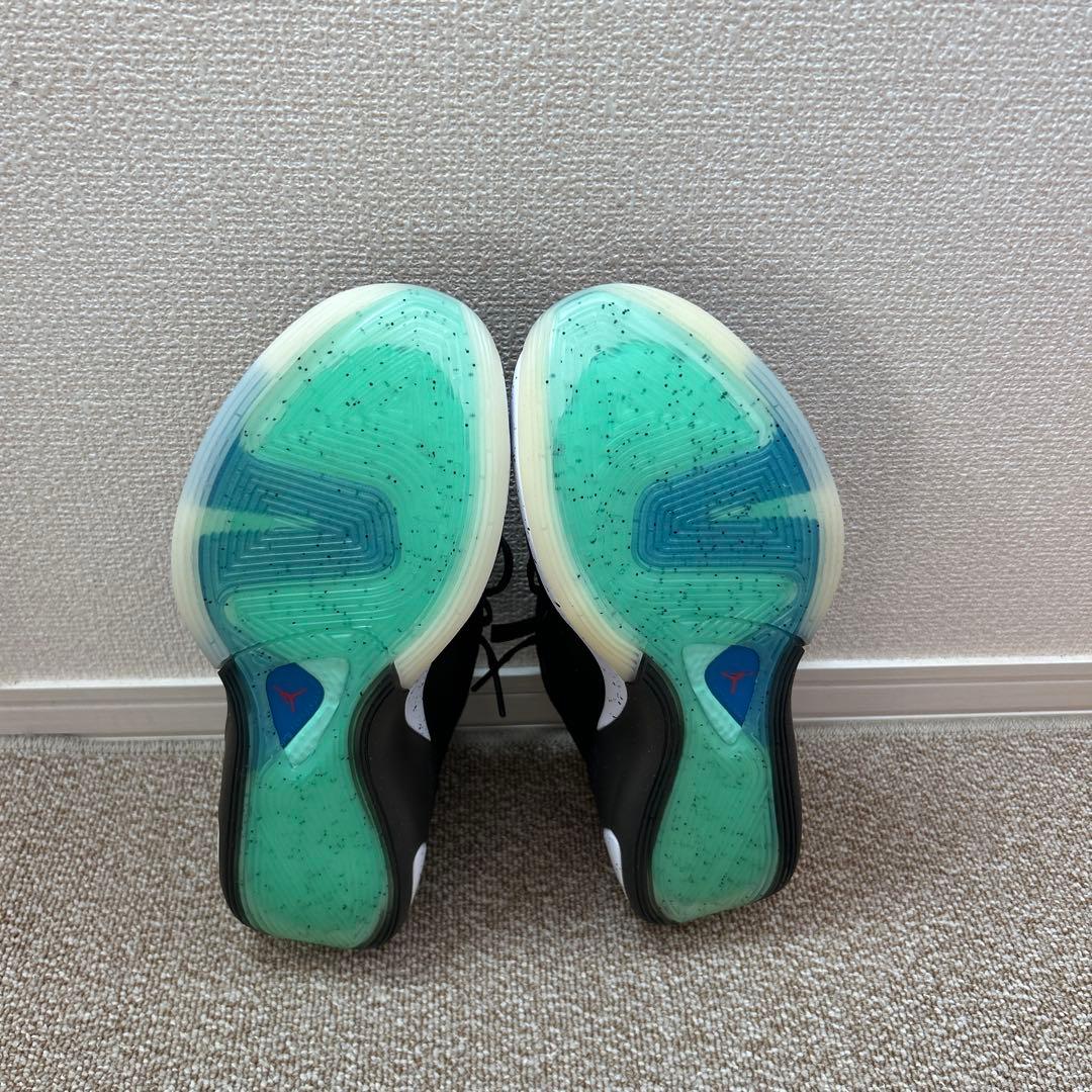 26cm JORDAN LUKA 1 ルカ1 バッシュ　コービー6