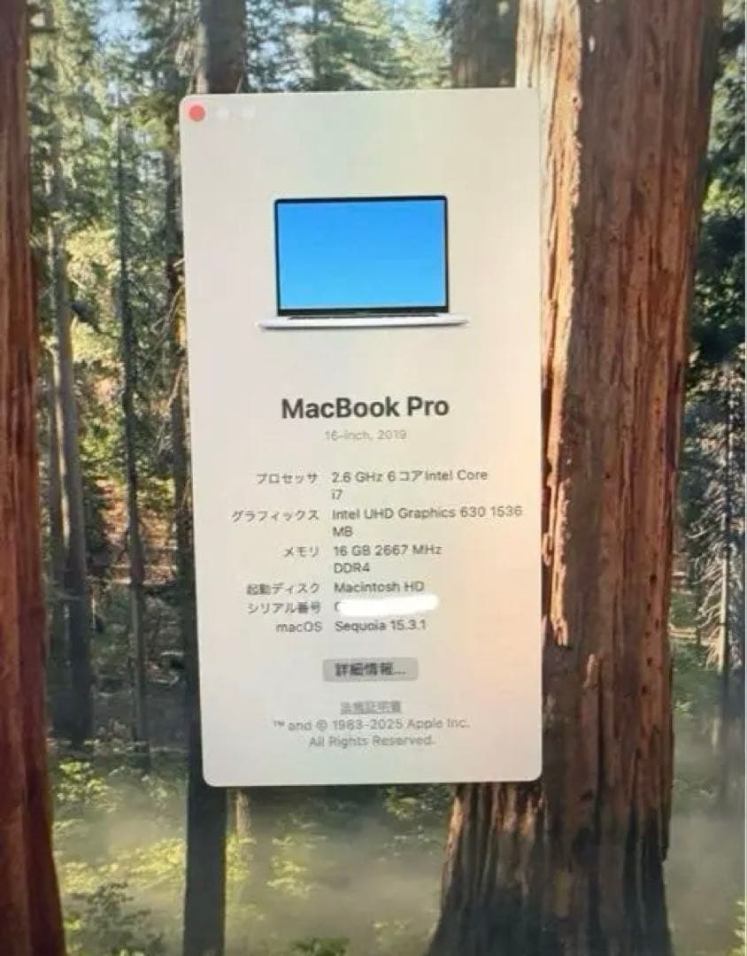 MacBook Pro 2019 16inch【Core i7 】512GB