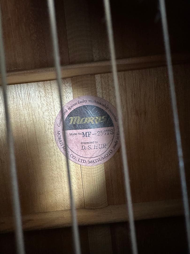 morris アコースティックギター MF-256TS