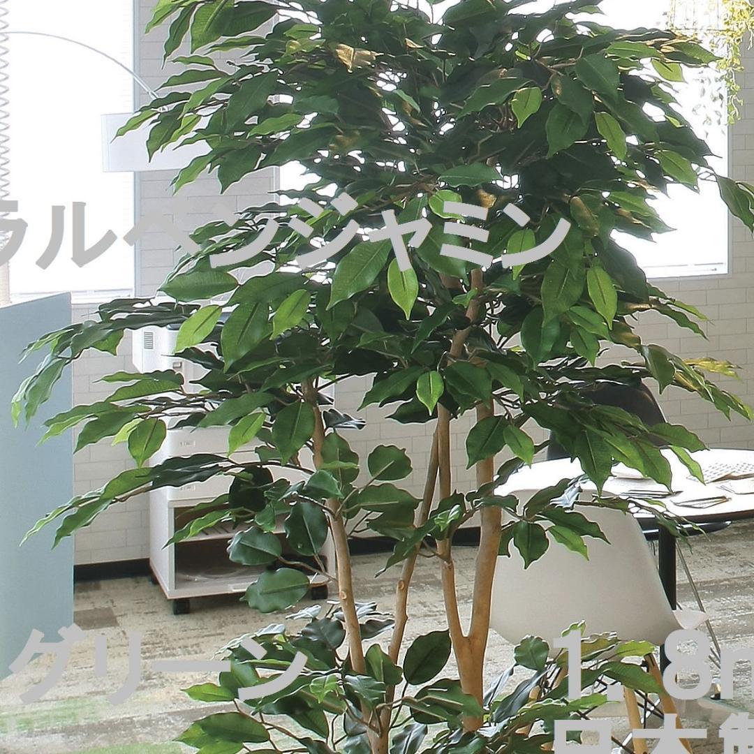 ☆日本製☆☆☆フェイクグリーン ナチュラルベンジャミン1.8 高さ1.8m