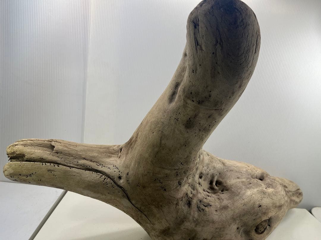 W29特大流木 アク抜き済み流木 爬虫類シェルター 登り木 インテリア 生け花