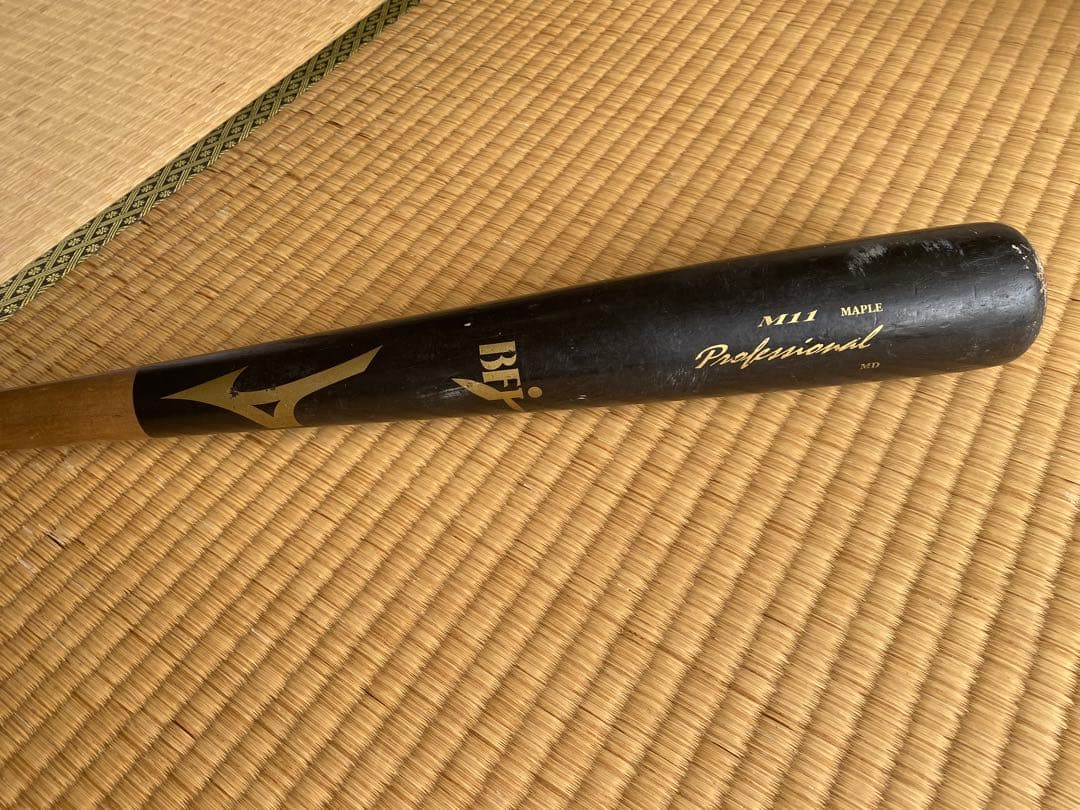 Mizuno 硬式用プロフェッショナル　84cm 平均890g