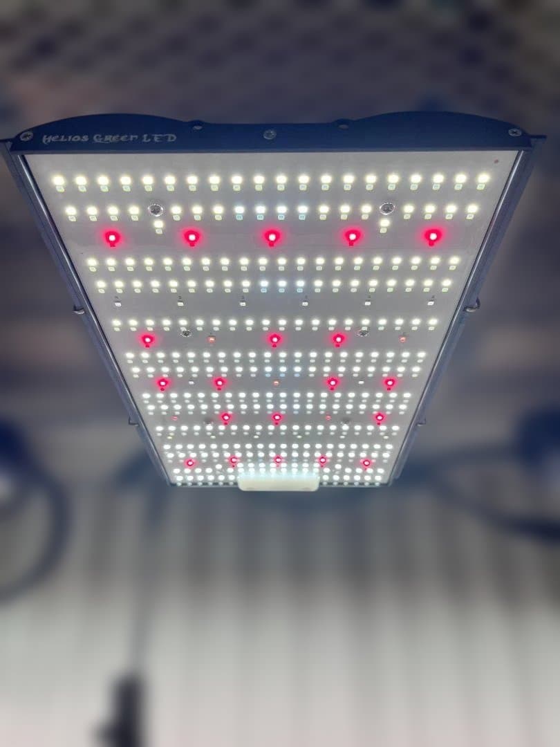 【新品・保証書付】HeliosGreenLED HGP101 PRO-UV