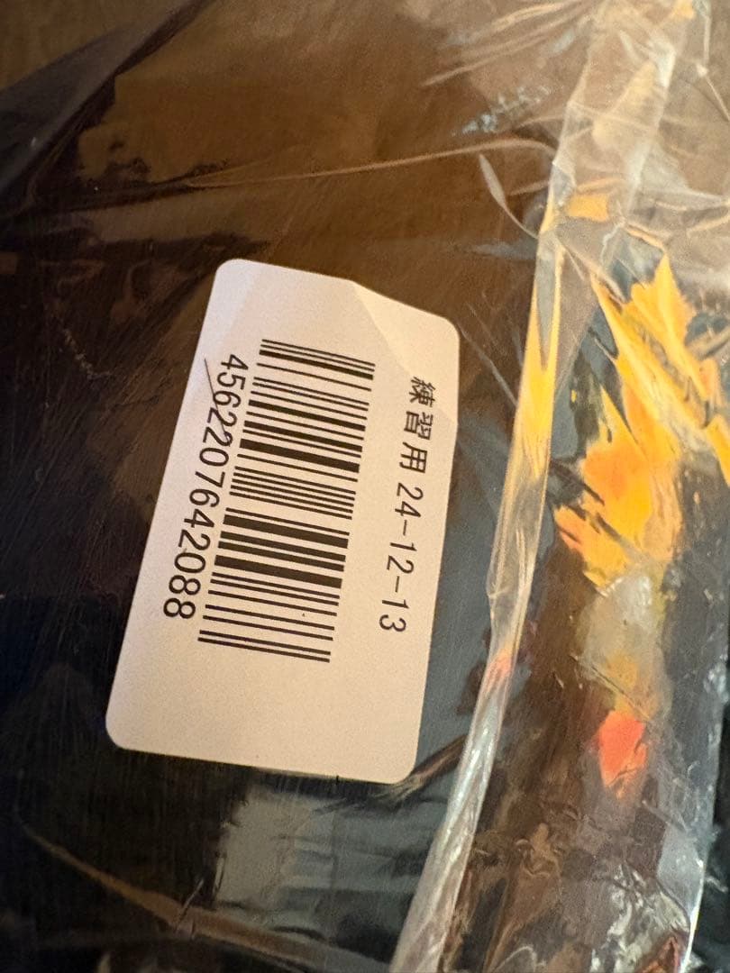 美容師国家試験 実技課題試験用 カットウィッグ