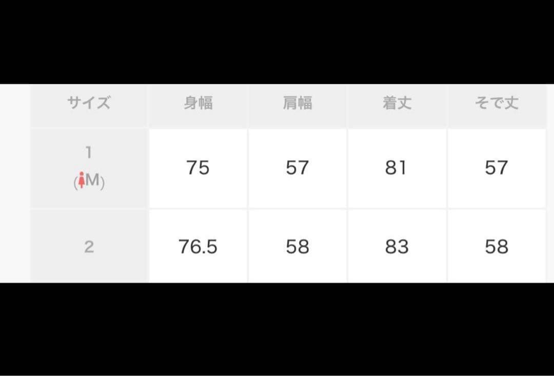 未使用 CLANE BALLOON DESIGN HOODED N3B