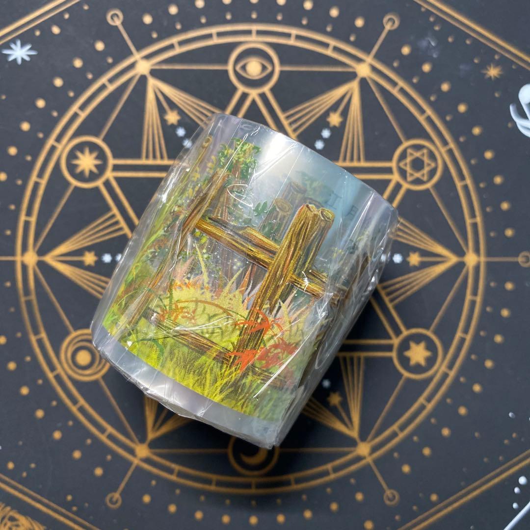 【9127】海外　マステ　5m巻　PETマスキングテープ　垣根　装飾系