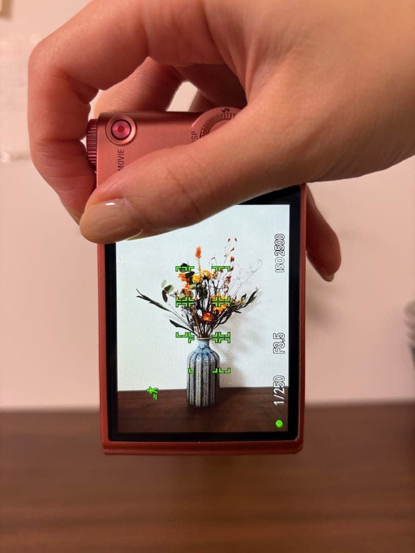 【美品】【動作確認済み】 Sony Cyber-shot DSC-WX350