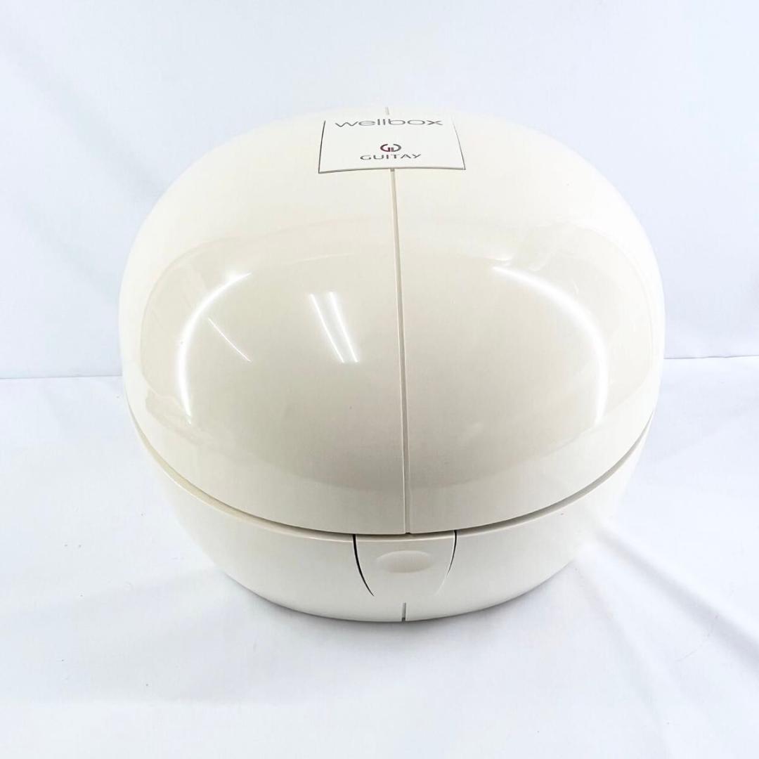 【美品】 wellbox　ウェルボックス 家庭用エンダモロジー