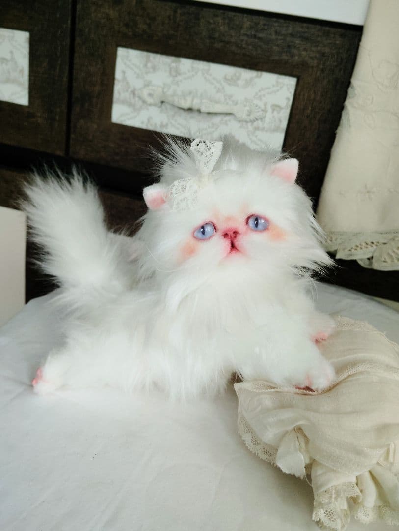 綺麗なオメメの女の子❤エキゾチック子猫ちゃん♡アートドール♡ぬいぐるみ♡