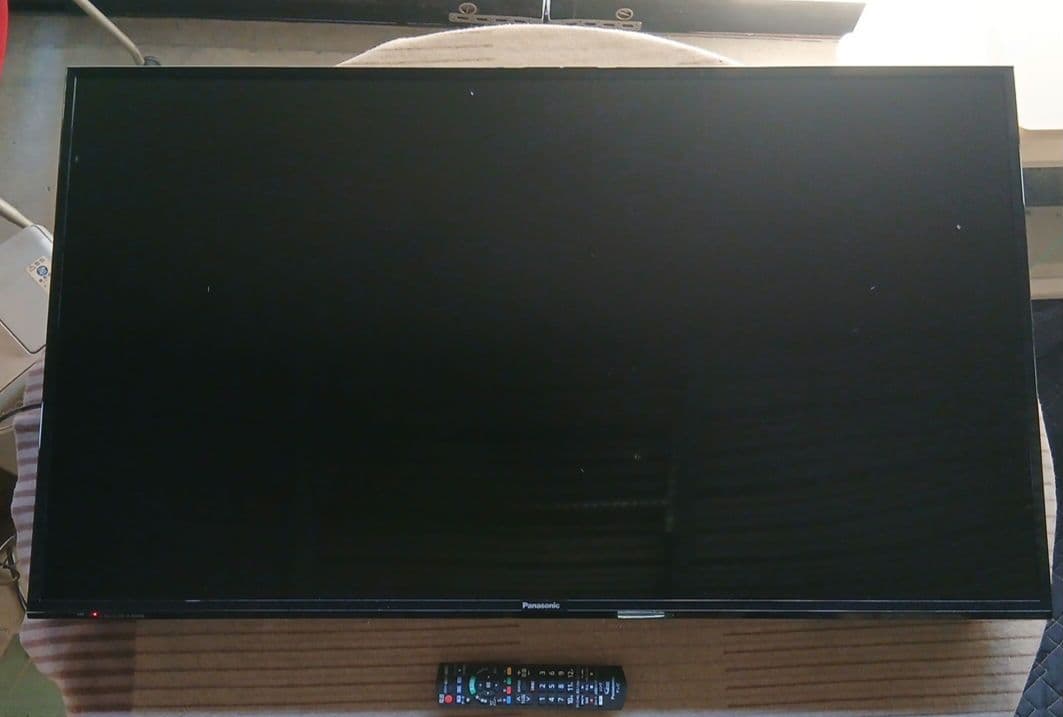 49インチ液晶テレビPanasonic TH-49E300HT【スタンド無】 ㉑