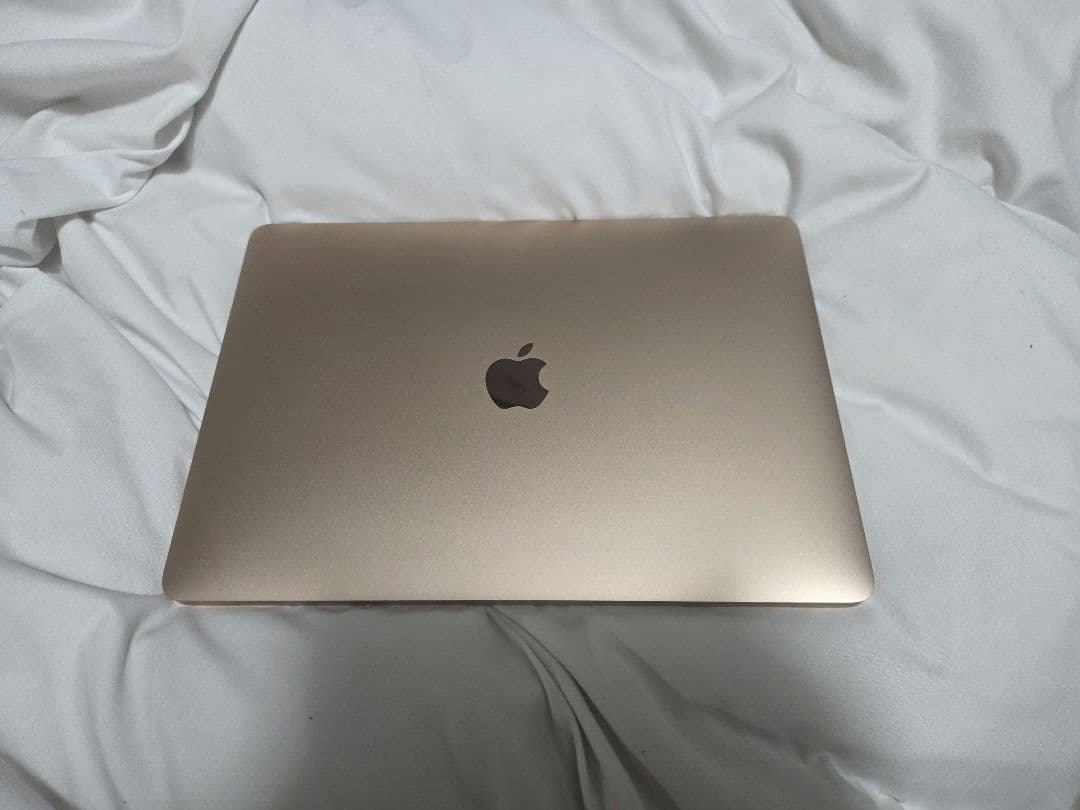 Mac Book Air Apple M1 16GB 1TB ゴールド　本体のみ