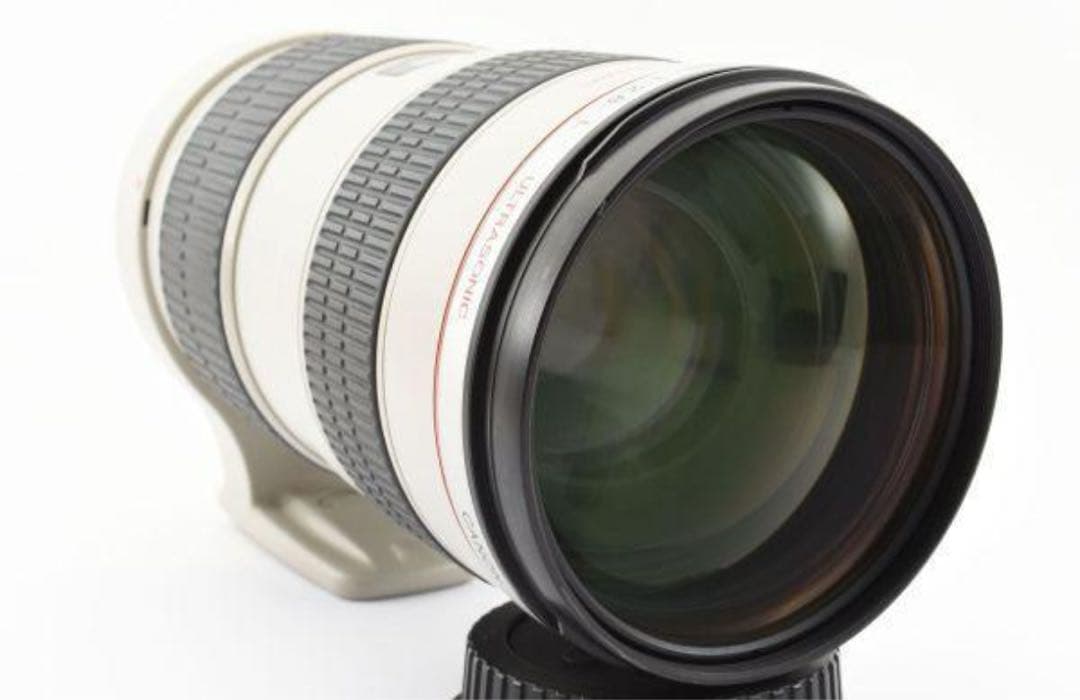 Canon EF 70-200mm f/2.8 ナナニッパ