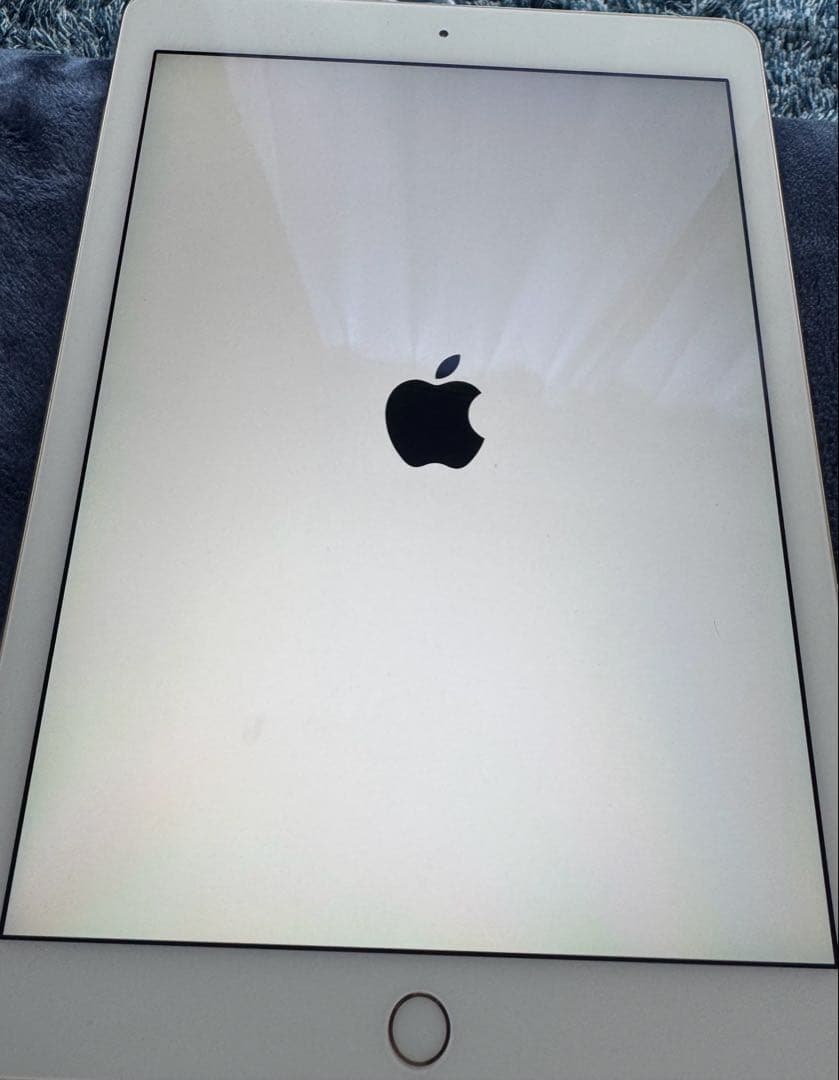 iPad本体 iPad Air 2 Wi-Fi+Cellular 64GB MH172J/A