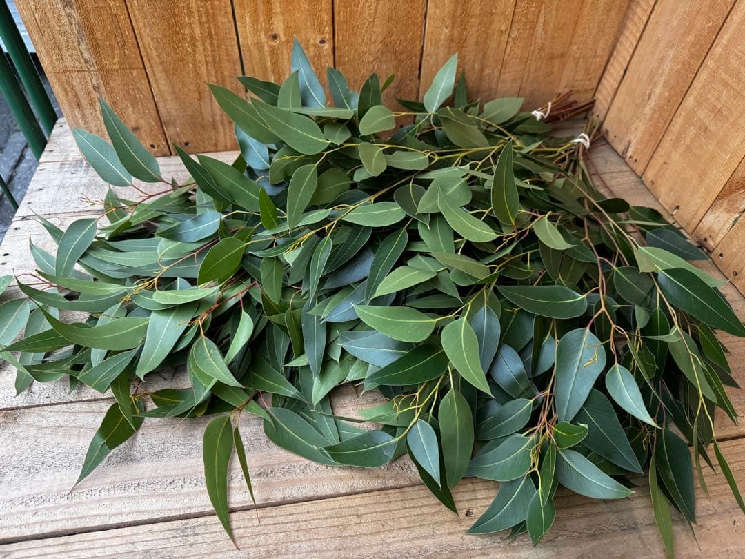 pp...様 リクエスト 3点 まとめ商品