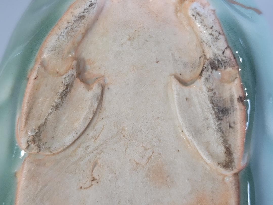 中国 仿古 青磁 鴨 蓋物