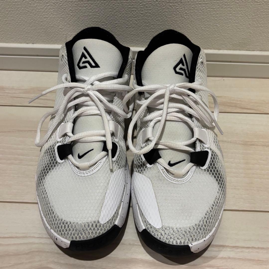 シューズ(男性用) NIKE ZOOM FREAK 1 BQ5422-101