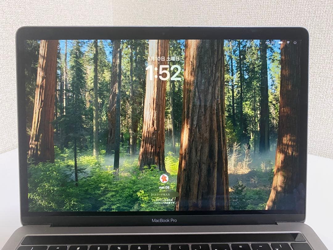 Apple MacBook Pro 13インチ 2018/16GB/256GB