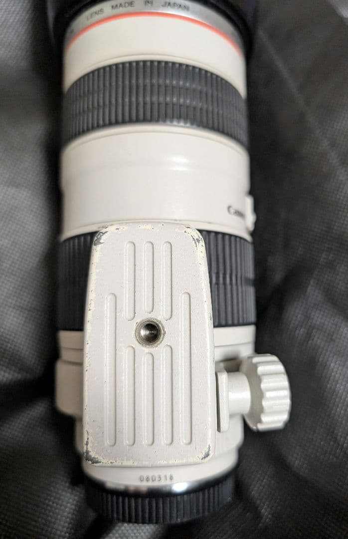 Canon EF 70-200mm f/2.8 ズームレンズ