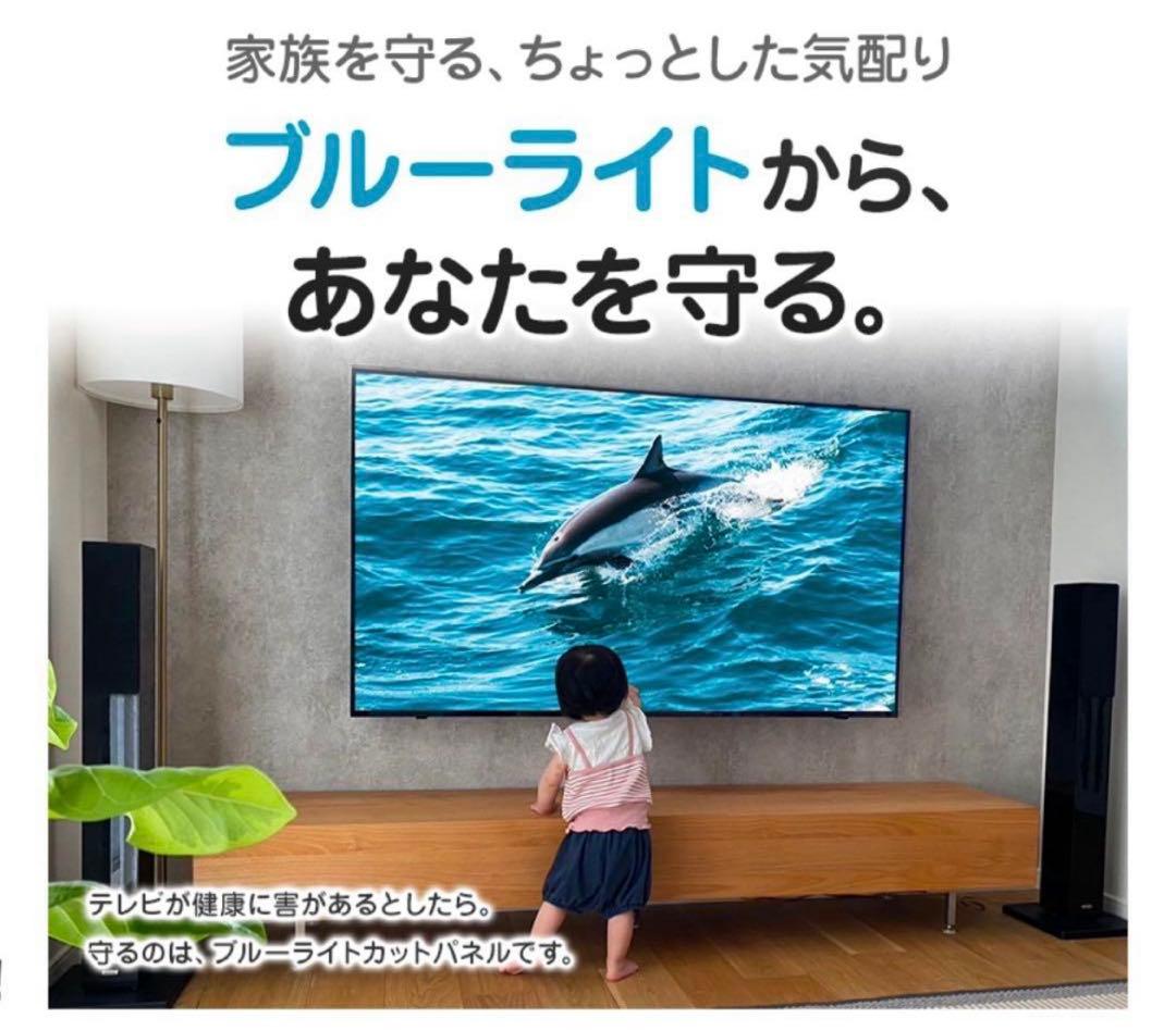 【ちゃんこ様】液晶保護パネル　65インチ対応