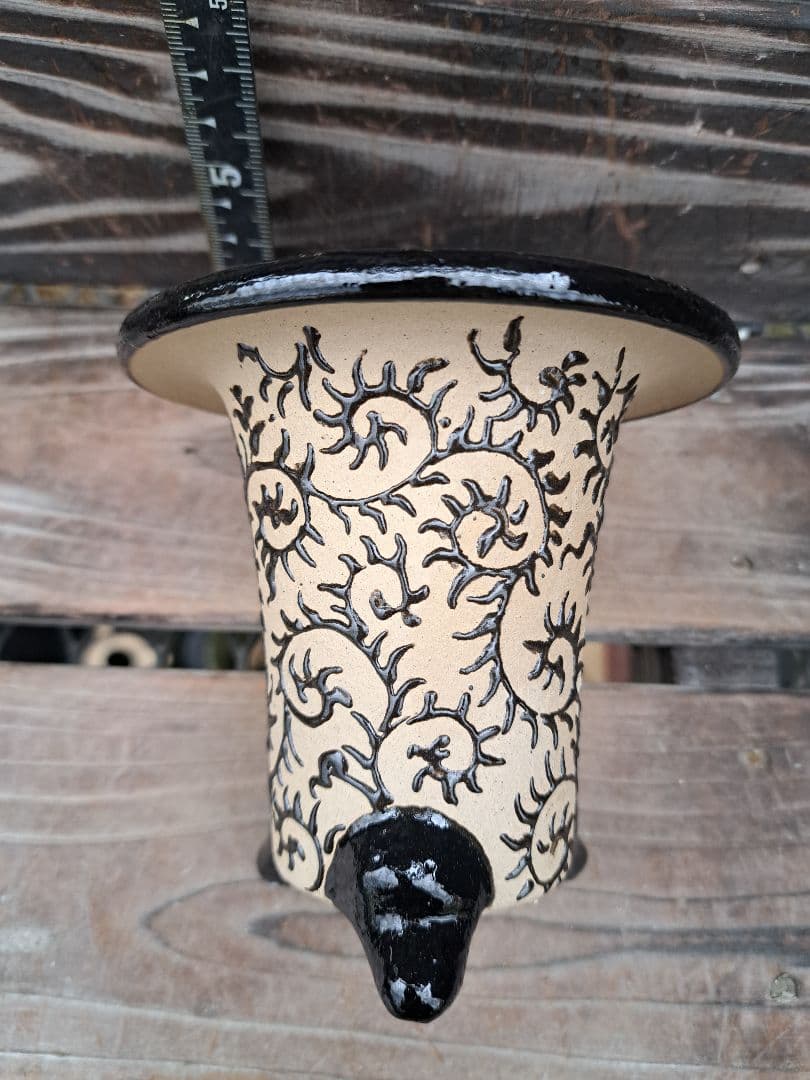 錦鉢　鉢　植木鉢　インテリア　植物　万年青　風蘭　長生蘭　伝統園芸　観葉植物