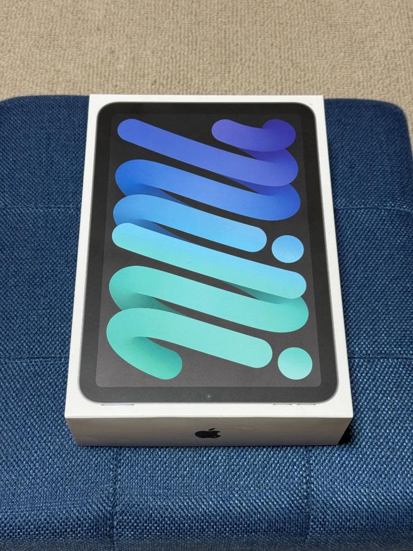 iPad mini 6 スペースグレイ 64GB Wi-Fi+Cellular