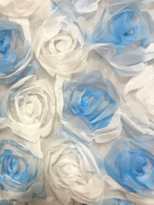 itdogs 薔薇キャリー スワロフスキー 巾着付き 美品です