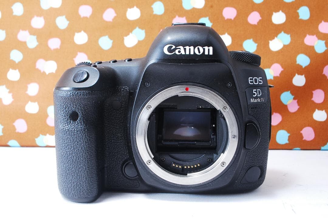 ✨ハイスペック機✨超高性能✨Canon 5D Mark Ⅳ