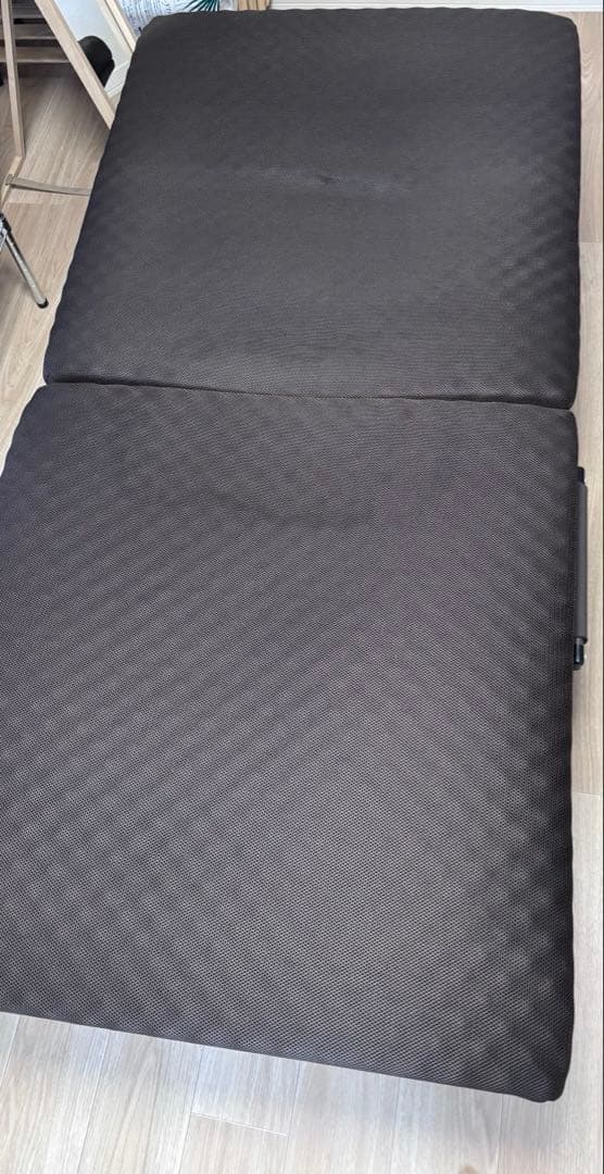 【最終値下げ】ニトリ 折り畳みベッド 折りたたみベッド シングル リクライニング